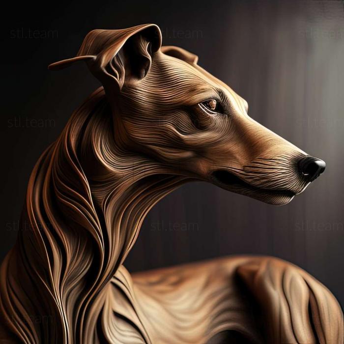 Hungarian Greyhound dog